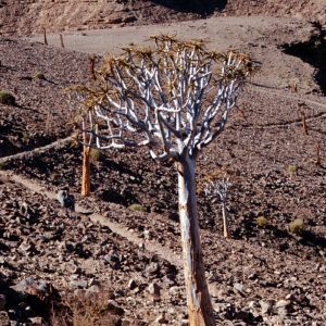 8. časť – Najväčší kaňon na južnej pologuli