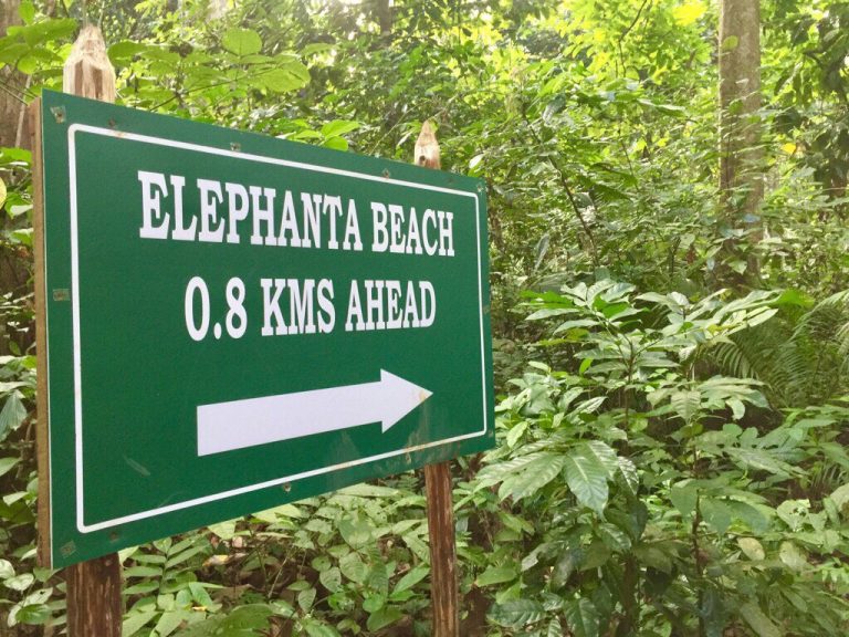 Elephant beach trek, Havelock