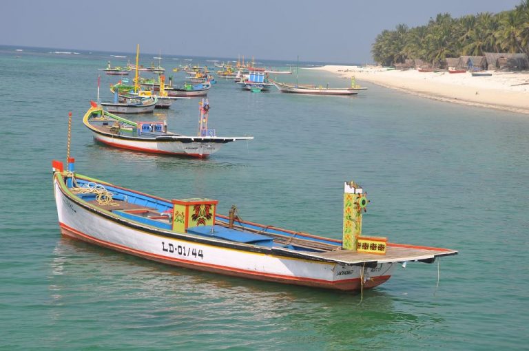 Lakshadweep boats