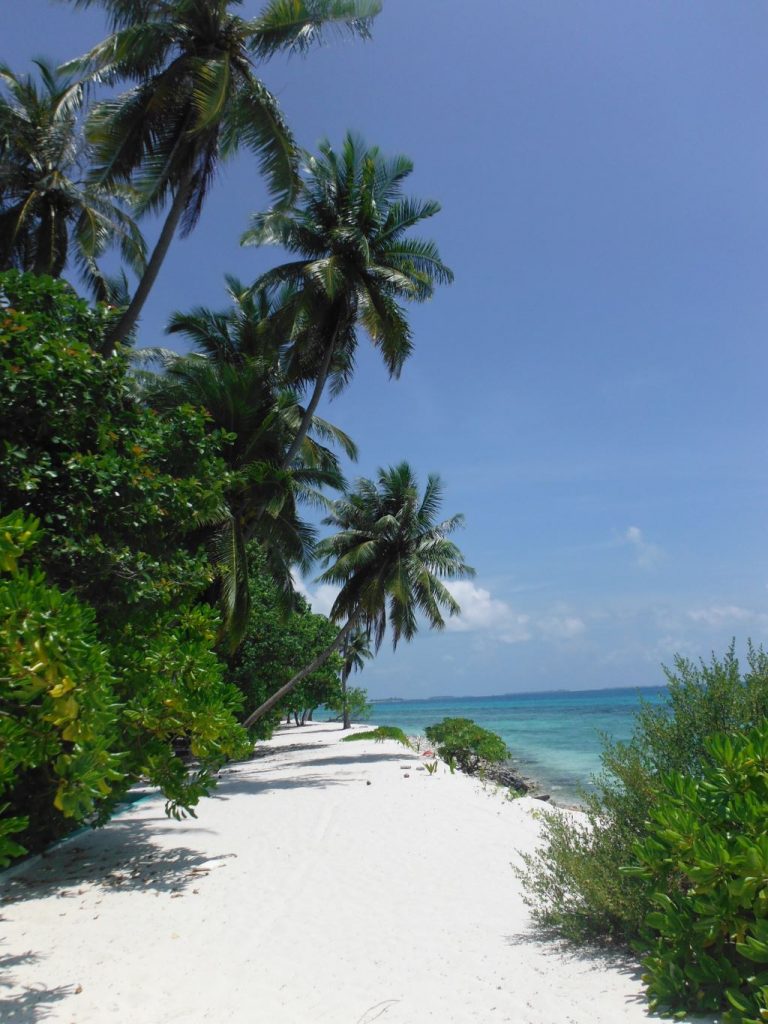 Maledivy ostrov Dhigurah