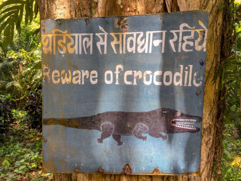 Beware Beware of crocodiles on Little Andaman
