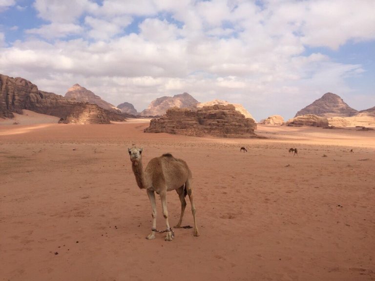 Wadi Rum, Jordánsko víza zdarma