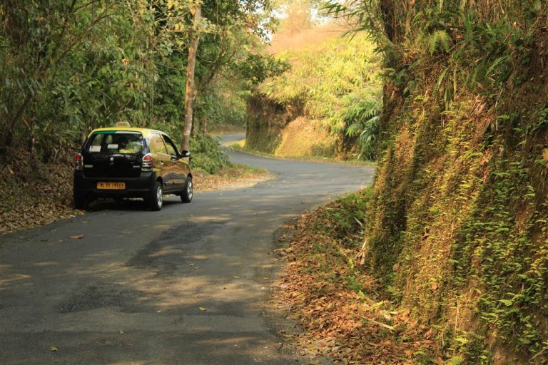 The road from Cherapunjee to Tyrna Meghalaya living root bridges