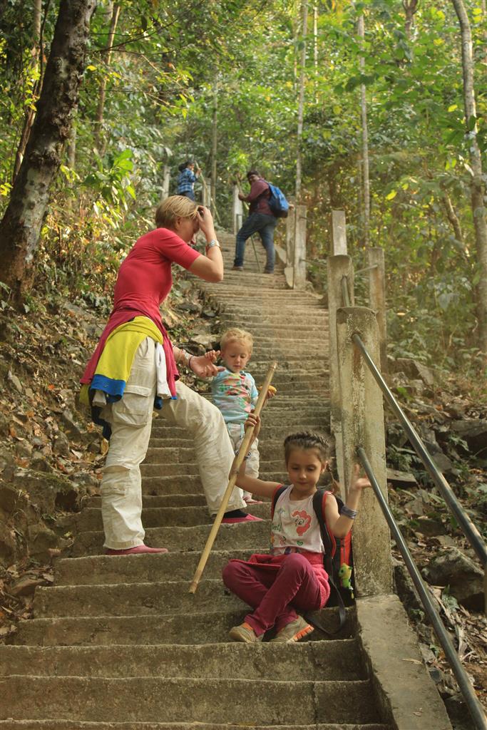 Stairway to heaven Meghalaya living root bridges