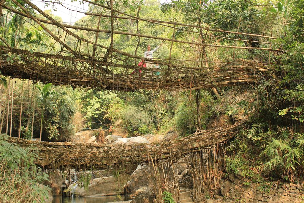 Doble Decker živý most z koreňov stromov