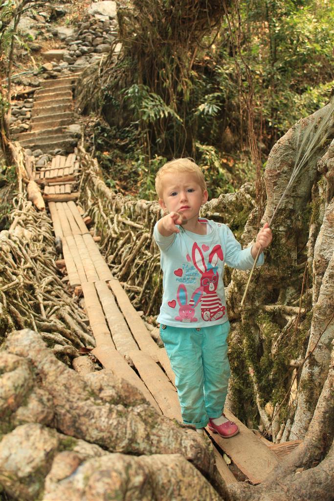 You can do it! Meghalaya living root bridge