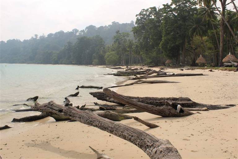 Lalaji Bay Beach, Long Island