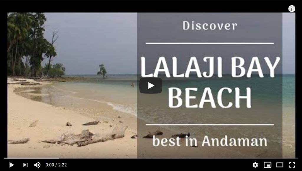 Journey to Lalaji Bay, Long island, Andaman