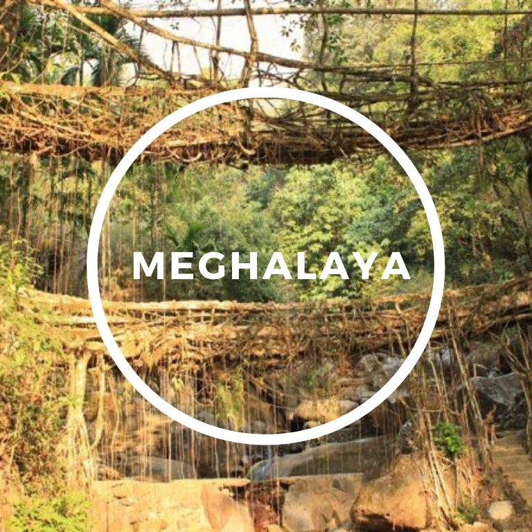 Meghalaya root bridges