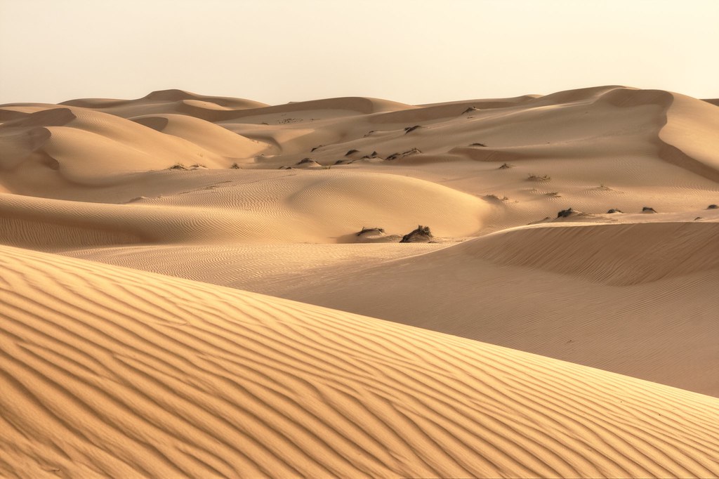 One week in Oman, Wahiba Sands