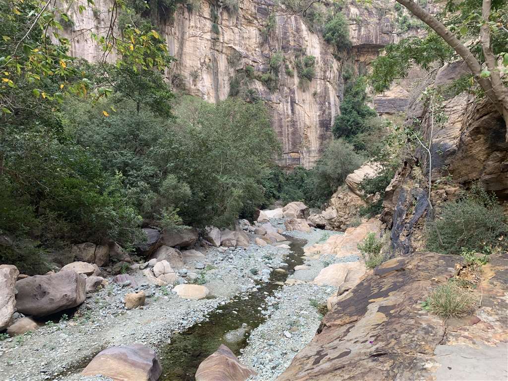 Wadi Lajib